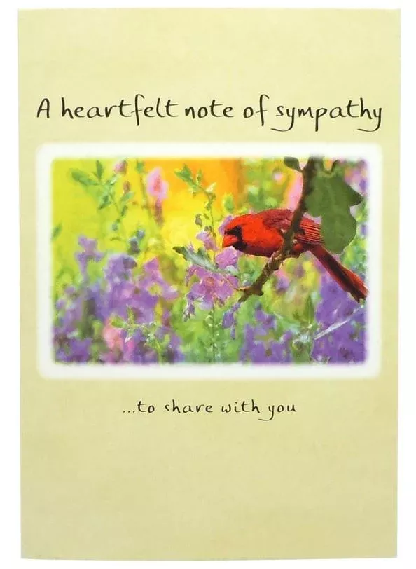 heartfelt-note-sympathy-greeting-card "A Heartfelt Note of Sympathy" Greeting Card