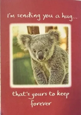 i-m-sending-you-hug-greeting-card "I'm Sending You A Hug" Greeting Card
